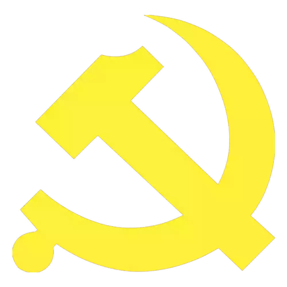 关于对深圳市残疾人关爱服务第二联合 党支部（筹）书记候选人预备人选的考察公示